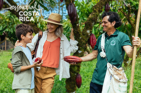 Pura Vida live: Abenteuer & Aktivitäten in Costa Rica 