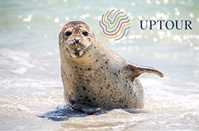 UPTOUR – Hotels und Ferienwohnungen an der Nord- und Ostsee