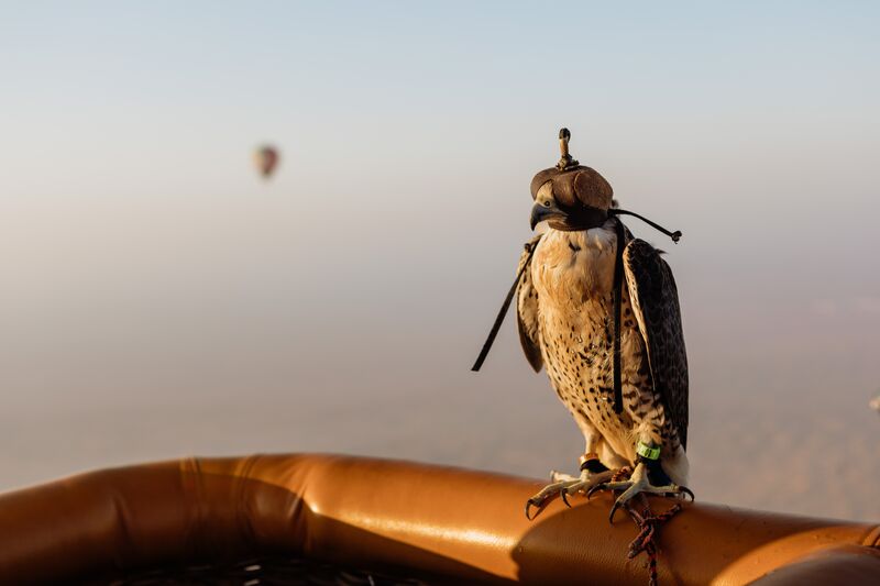 1%20Klein%20-%20Hatta%20Sign