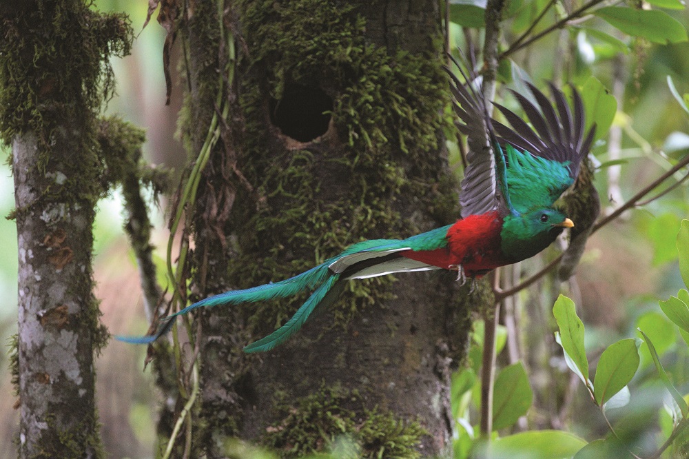 Costa Rica