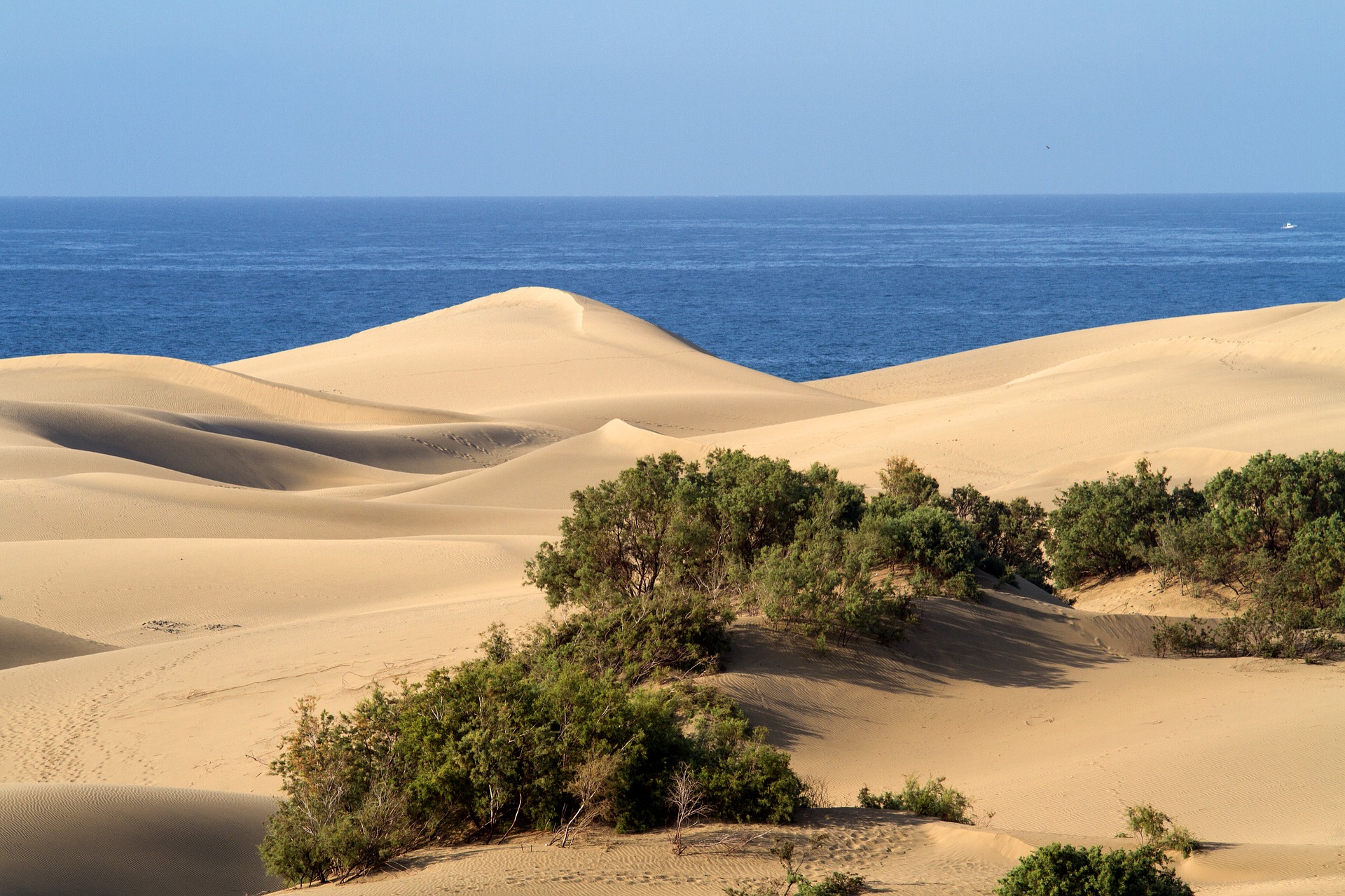 Gran Canaria I