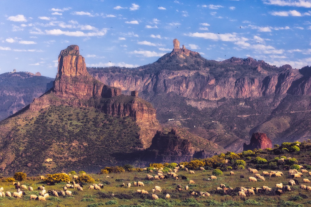 Gran Canaria als Ganzjahresziel