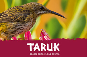 Frühlingserwachen mit TARUK